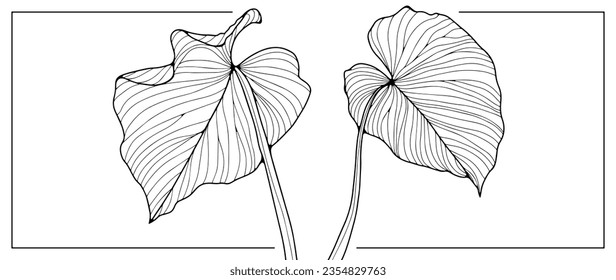 Black contour of tropical leaves on a white background. Leaves for coloring pages, creating wallpapers and patterns, posts in social networks