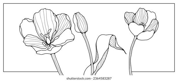 Black contours of three different tulip flowers on a white background. Outlines of flowers for coloring, creating designs and patterns. Silhouette of delicate tulips.