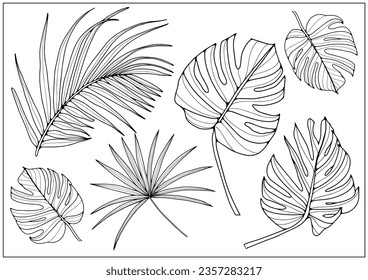 Black contours of tropical branches and leaves on a white background. Tropical leaves for coloring books, creating various designs, patterns.