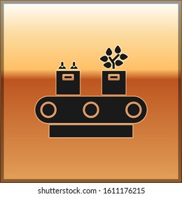Black Conveyor belt with cardboard box icon isolated on gold background.  Vector Illustration