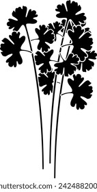 black coriander silhouette or flat leaf illustration of coriandrum logo leaves for food with ingredient icon and plant shape herb as condiment to seed