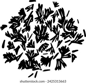 black coriander silhouette or flat seed illustration of leaf logo coriandrum for leaves with food icon and ingredient shape plant as herb to condiment