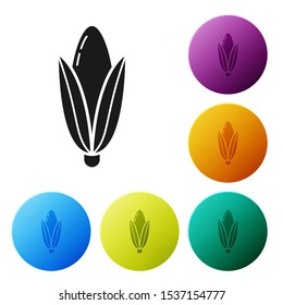 Black Corn icon isolated on white background. Set icons colorful circle buttons. Vector Illustration