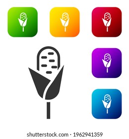 Black Corn icon isolated on white background. Set icons in color square buttons. Vector