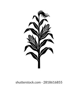 Black corn stalk silhouette. Vector illustration of maize plant for autumn harvest design.