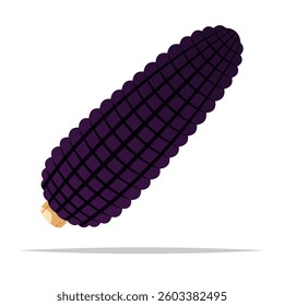 Black corn vector isolated illustration