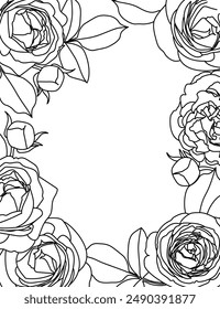 Black countour roses isolated on a white background. Frame with roses.	