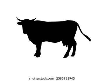 A black cow is dancing on a white background,