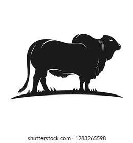 black cow design on grass