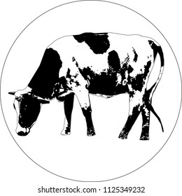 black cow logo	