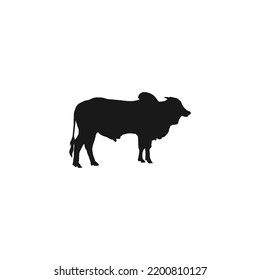 black cow logo vector template