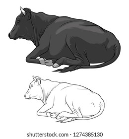 Black Cow Lying Down. Cow in lines. Cow on white background. Vector