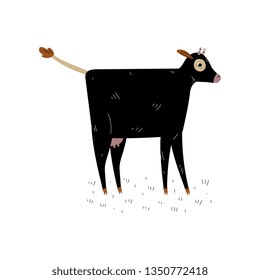 Black Cow, Side View, Dairy Cattle Animal Husbandry Breeding Vector Illustration