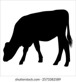 Black Cow Silhouette vector illustration
