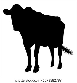 Black Cow Silhouette vector illustration