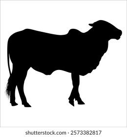 Black Cow Silhouette vector illustration