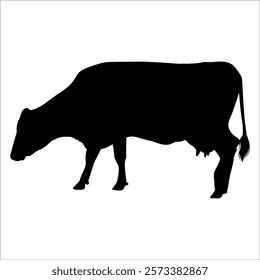 Black Cow Silhouette vector illustration