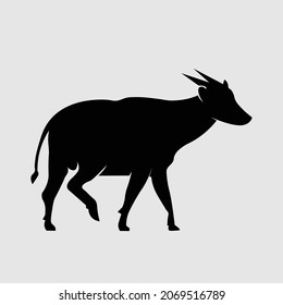 black cow vector eps 10