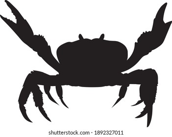 Black crab on white background isolated. Vector illustration