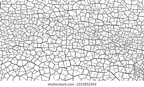 Black crack texture. Cracked on a white background. Old wall background crack vector, grunge, ground distress texture.