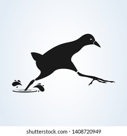 Black Crake, South Africa. flat style. Vector illustration icon isolated on white background. 