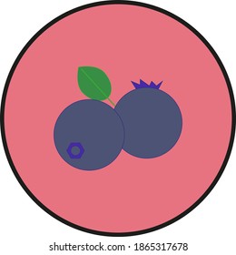 black cranberries fruit. illustration for web and mobile design.