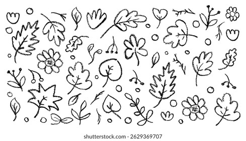 Black crayon autumn vector set with leaves, forest berry and raindrops on white blackboard perfect for children, kindergarten crafts, back to school seasonal designs and educational materials.