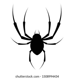 223 Spider with 8 legs Stock Vectors, Images & Vector Art | Shutterstock