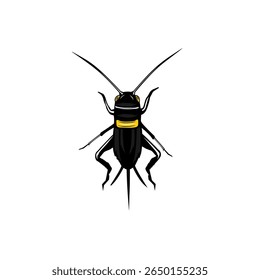 black cricket top view vector illustration