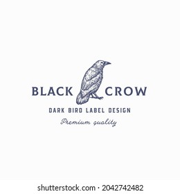 Black Crow Abstract Vector Sign, Symbol or Logo Template. Hand Drawn Raven or Crow Bird Sketch Silhouette with Retro Typography. Isolated.