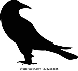 Black Crow Black Bird Silhouette Against White Background No Sky. Free Vector