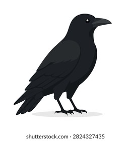 Black crow bird standing on ground in side view vector graphic illustration
