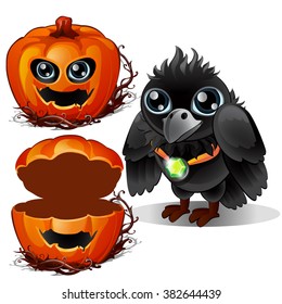 Black crow and a casket of pumpkin head. Sketch for greeting cards, posters or party invitations Halloween. Vector illustration.