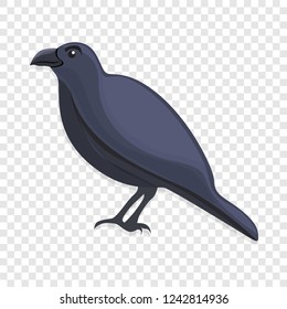Black crow icon. Cartoon of black crow vector icon for web design  