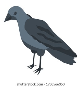 Black crow icon. Isometric of black crow vector icon for web design isolated on white background