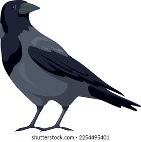 Black crow icon. Raven icon. Wild bird isolated on white background