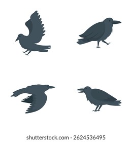 Ícones de corvo preto definem o vetor de desenhos animados. Bonito desenho animado corvo preto. Aves, animais