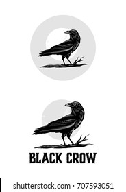 Black Crow Illustration