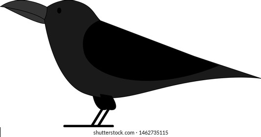 Black crow, illustration, vector on white background.