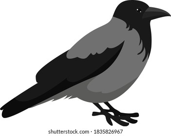 Schwarze Krähe, Illustration, Vektorgrafik auf weißem Hintergrund