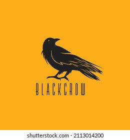 Black Crow Logo Template. Raven icon Design. Bird Illustration