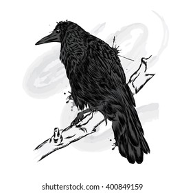 Black Crow on a branch. Vector illustration.