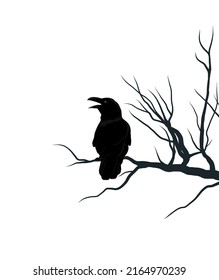 Black crow on brunch of tree. Silhouette of raven, element for Halloween. Vector illustration isolated from background.