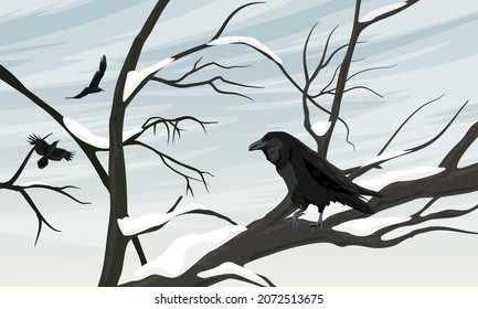 A black crow on a snow-covered tree branch against a gray winter sky. Wild crow Corvus corax. 
 Realistic vector landscape with birds of the city
