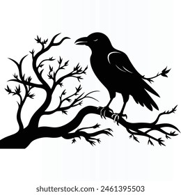 Black crow on tree branch. Vector illustration isolated from background. Silhouette