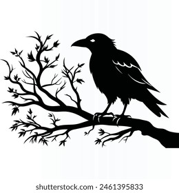 Black crow on tree branch. Vector illustration isolated from background. Silhouette