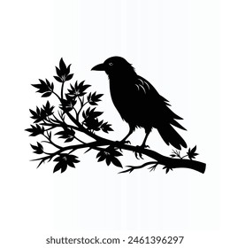 Black crow on tree branch. Vector illustration isolated from background.