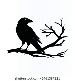 Black crow on tree branch. Vector illustration isolated from background. 