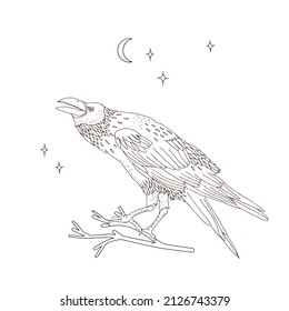 Black crow on twig in the night sky colouring page vector illustration isolated on white. Mystical raven print for Halloween postcard or tee shirt design.