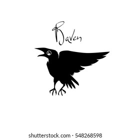 Black Crow on a white background. Isolated silhouette of the bird. Raven with spread wings. It can be used as an idea for a tattoo.